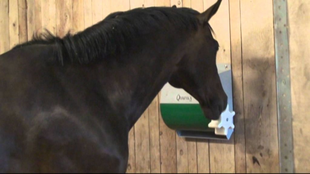 Mangeoire pour chevaux Quaryka