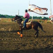 Jument offert en demi penssion