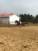 Belle jument TB
