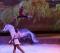 Cours d'équitation, Trick Ridding, Clinique de...