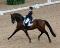 Recherché/Looking for dressage Prospect de...