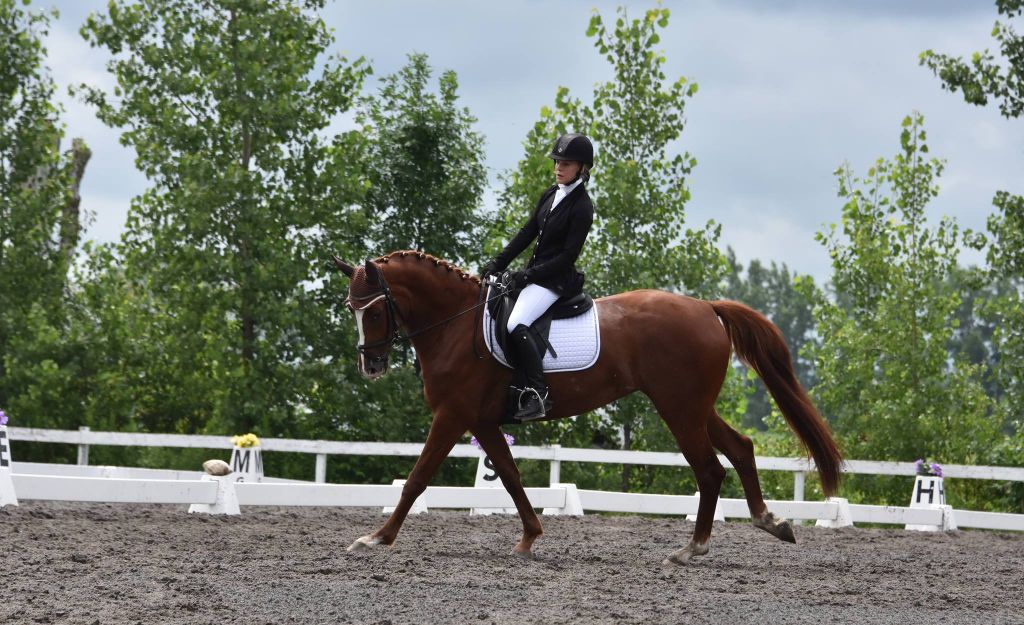 Cours d'équitation en dressage a terrebonne