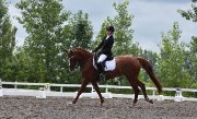 Cours d'équitation en dressage a terrebonne