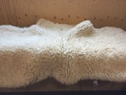 sous-tapis mouton