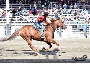 Cheval de baril open