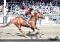 Cheval de baril open