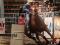 Cheval de baril open