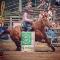 Cheval de baril open