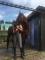 Demi-pension/Dressage et sauts/Laval