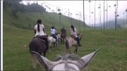 Randonnées à cheval en Colombie / Horseback riding