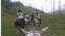 Randonnées à cheval en Colombie / Horseback riding