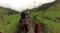 Randonnées à cheval en Colombie / Horseback riding