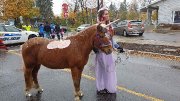 Poney - Cours pour enfant à Laval 