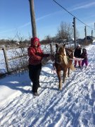 Poney - Cours pour enfant à Laval 