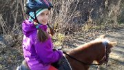 Poney - Cours pour enfant à Laval 