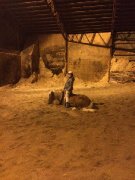 Poney - Cours pour enfant à Laval 
