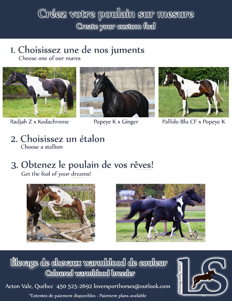 Le poulain de vos rêves !