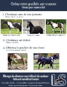 Le poulain de vos rêves !
