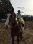 Cours d'équitation classique - Enfants/adultes