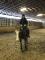 Appaloosa 7 ans 15m2