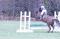 Super cheval offert en demi-pension