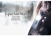 Dressage- Rééducation- Débourrage