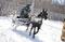 sleigh marathon