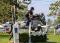 ONYX, large poney disponible pour cours ou pour...