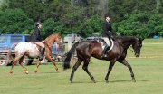 À la recherche d'un cavalier pour Kieran
