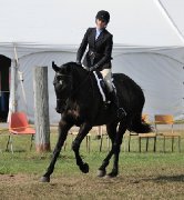 À la recherche d'un cavalier pour Kieran