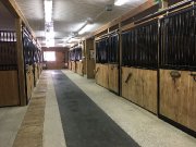 Palefrenier/ère demandé 