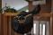 Selle Ridgemount Hudson