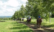 Camp dété à moins de 20 minutes de Sherbrooke