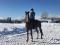 Demi-pension sur cheval de dressage