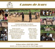 Camps de jours équestres St-Félix de Valois été 2018