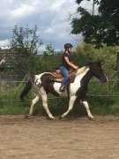 Cours d'équitation classique et western pour tous 