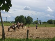 Cours d'équitation classique et western pour tous 