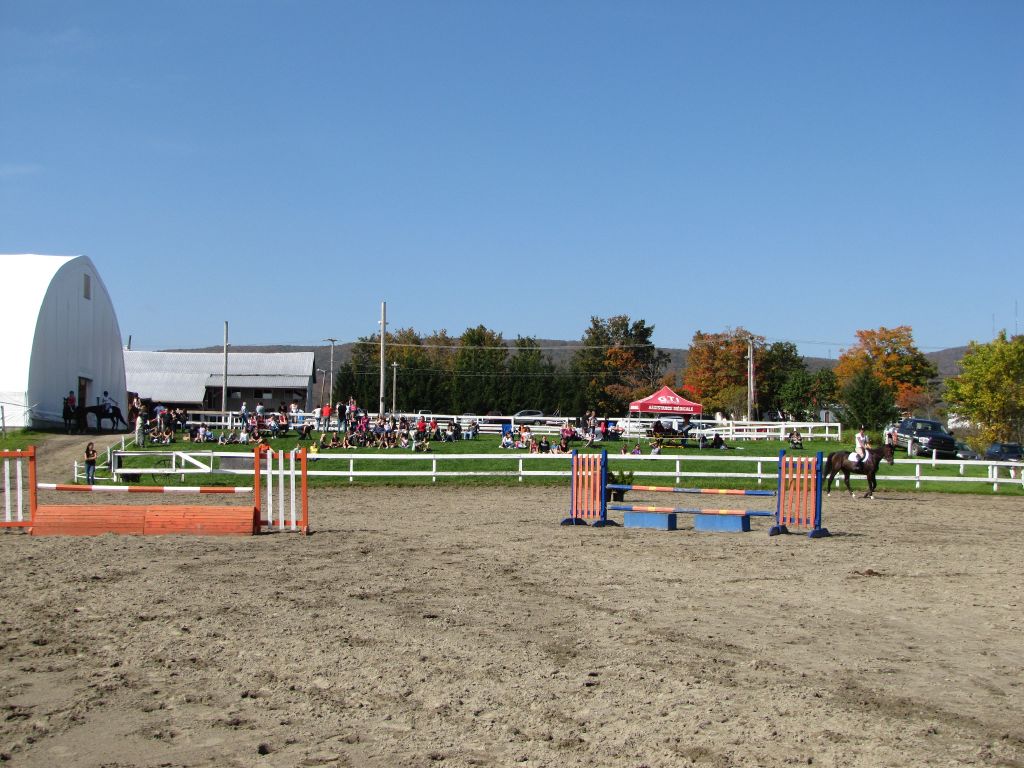 Cours et camps d’équitation classique Cheval Défi