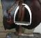 Ogilvy, Ecogold, Techstirrups