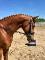 7 ans 16m1 par Cabardino