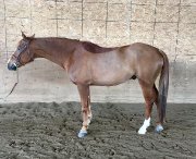 7 ans 16m1 par Cabardino