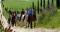 Recherche cheval 