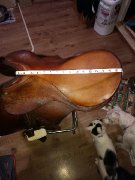 Selle classique de marque passier