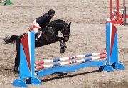 Gentil jumper