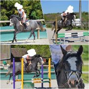 PONETTE D 6ANS (95)