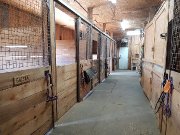 Pension et/ou partage d'écurie à Sainte Sophie