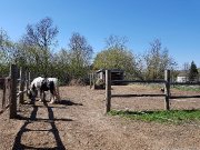 Pension et/ou partage d'écurie à Sainte Sophie