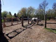 Pension et/ou partage d'écurie à Sainte Sophie