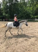 Poney offert en demi-pension ou pleine-pension