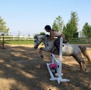 Poney offert en demi-pension ou pleine-pension